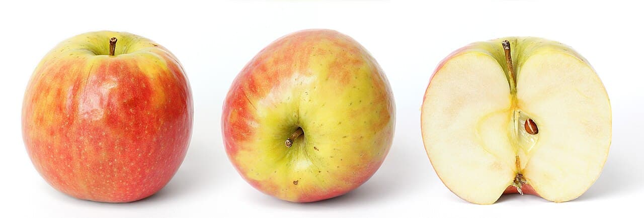 Red apple whole and in cross section